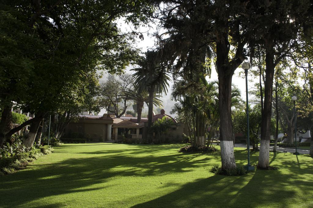 Hotel Los Olivos Spa Oaxaca Exterior photo
